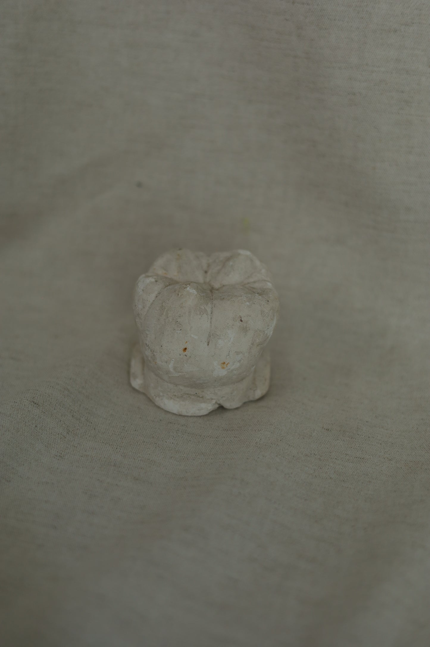 1960s-1980s 石膏牙齒模具NO.1