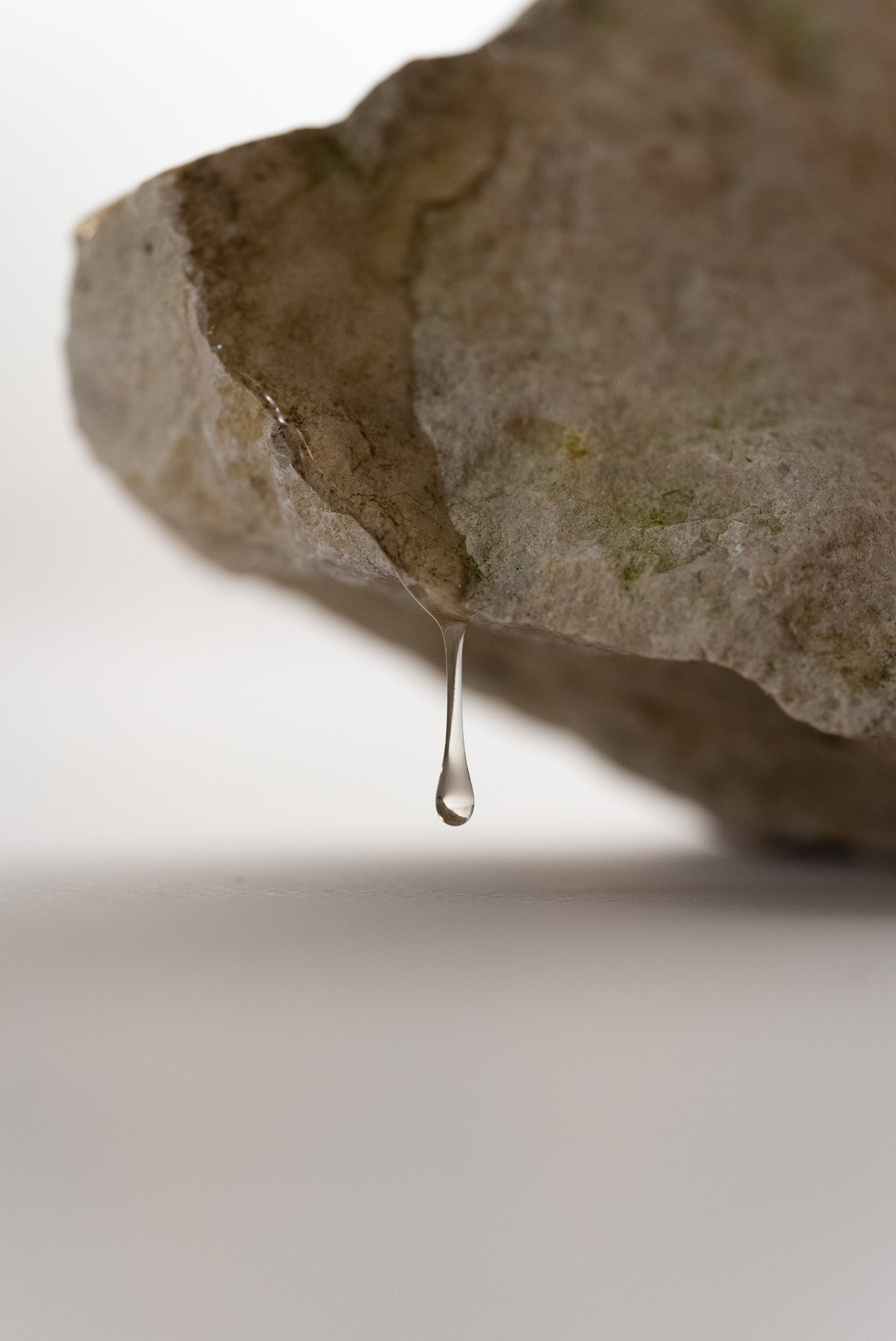 亞馬遜森林洗手露 300 ml