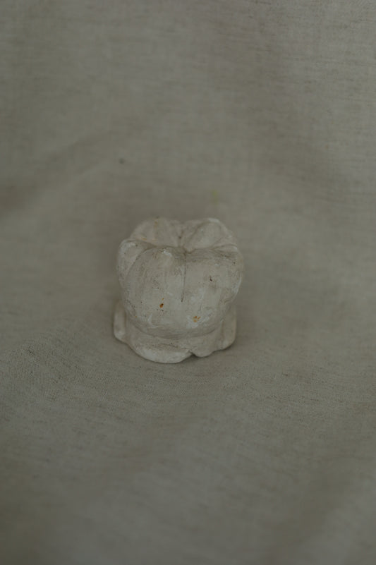 1960s-1980s 石膏牙齒模具NO.1