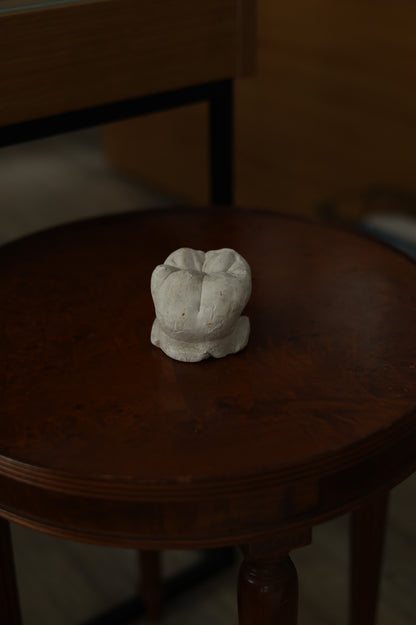 1960s-1980s 石膏牙齒模具NO.1