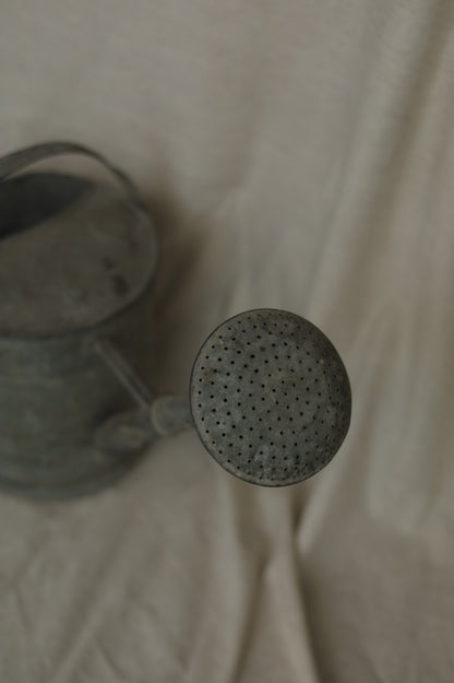 馬口鐵澆花灑頭