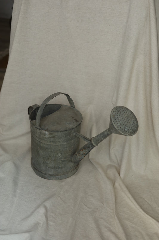 馬口鐵澆花灑頭